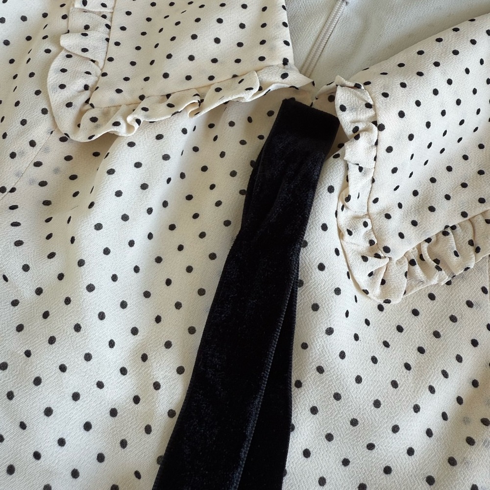 Reformation Ivory and Black Polkadot Dress - Picture 2 of 6
